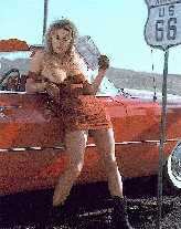 pamela30.jpg (7507 Byte)